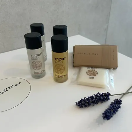 بيت ضيافة Vin Dell'olmo Castagnole delle Lanze