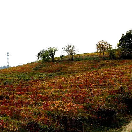 Pensjonat Vin Dell'olmo