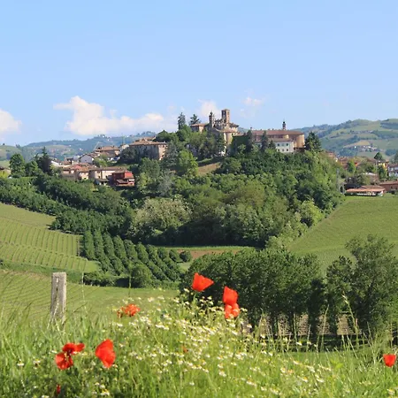 Vin Dell'olmo