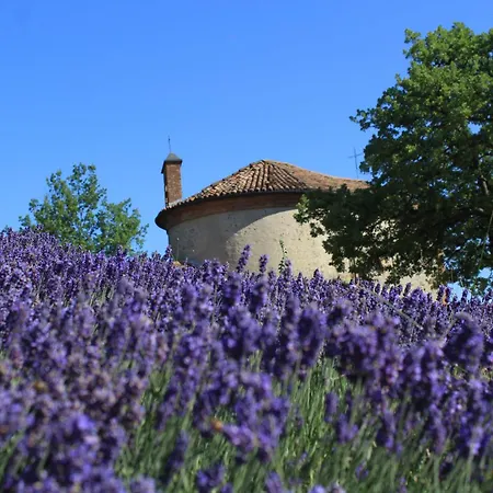 Vin Dell'olmo Castagnole delle Lanze