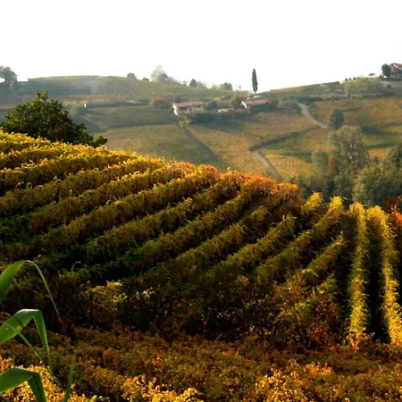 Vin Dell'olmo Pensjonat