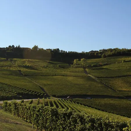 Vin Dell'olmo 4*