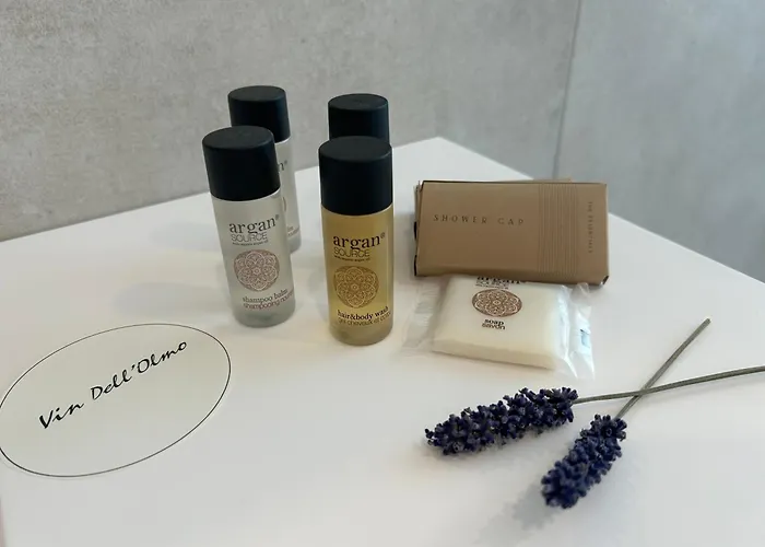Guest house Vin Dell'olmo Castagnole delle Lanze