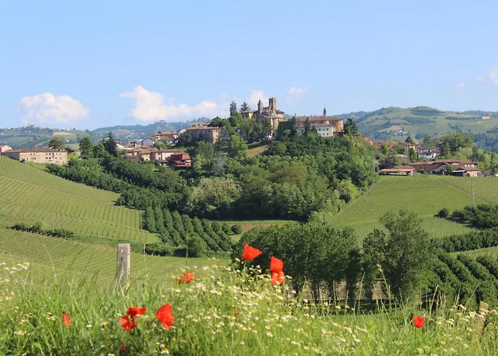 Vin Dell'olmo