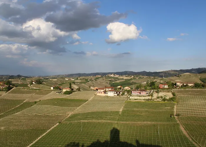 Vin Dell'olmo Guest house