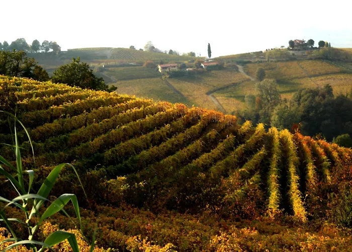 Vin Dell'olmo Guest house