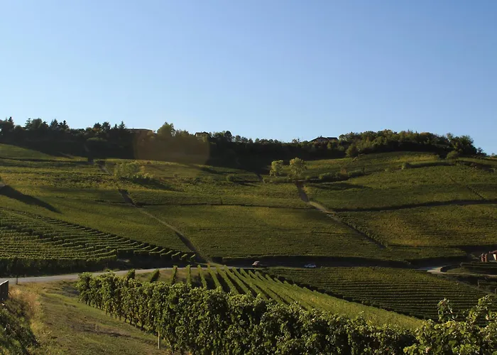 Vin Dell'olmo 4*